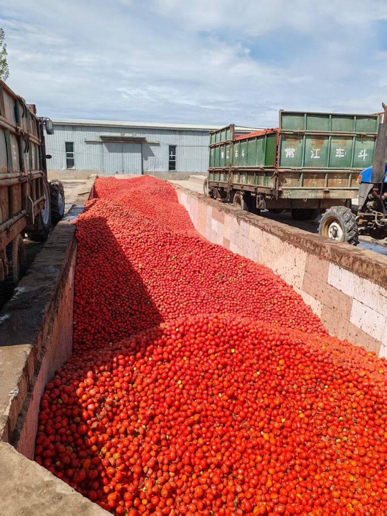 2.1.2需要美图一下