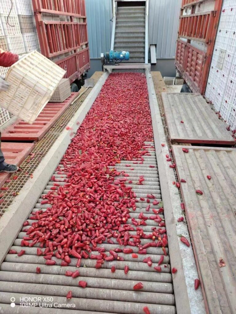 5c8fcdf3-3418-4611-ba4d-e94a8302bfa4